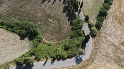 Tuscan winding road flatlay drone shot Stock Footage 290238818