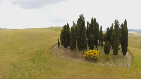 Tuscany aerial view Stock Footage 39478311
