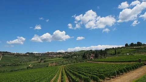 Tuscany, the countryside. Stock Footage 147332541