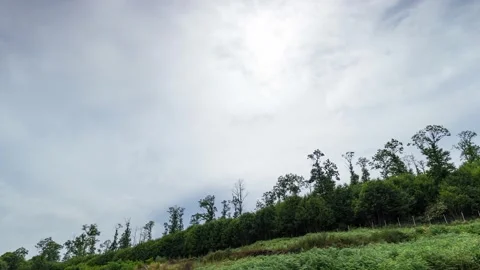Tuscany countryside Stock Footage 159008908