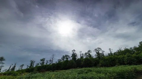 Tuscany countryside Stock Footage 159008910