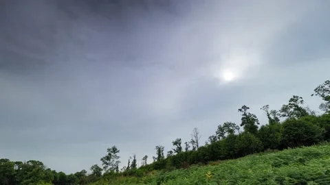 Tuscany countryside Stock Footage 159008916