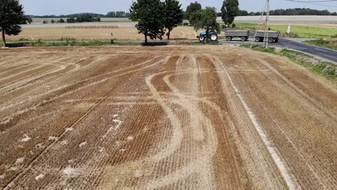 Tuscany fields Stock Footage 114748739