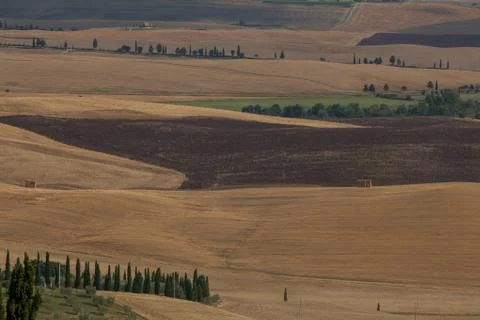 Tuscany fields in summer Stock Photos