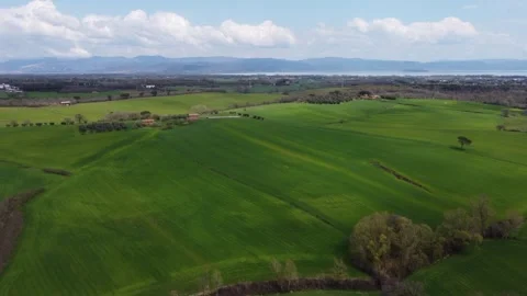 Tuscany Fields, Wine, and Olive Groves Stock Footage 242590596