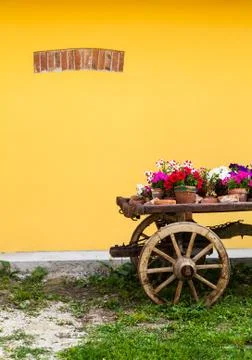 Tuscany flowers Stock Photos