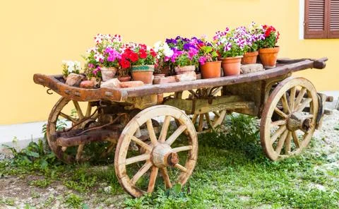 Tuscany flowers Stock-Fotos