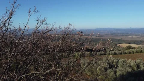 Tuscany Video stock 170013307