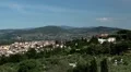 Tuscany Hills, Olive Trees, Aerial View of Florence, Italy, Beautiful Landscape HD Footage