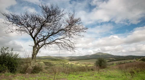 Tuscany hills timelapse Video stock 62776413