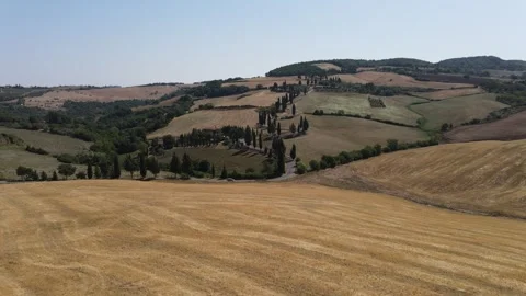 Tuscany hills - trees - drone Stock Footage 290238231