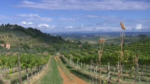 Tuscany, Italy Stock Footage 415801