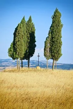 Tuscany landscape Stock Photos