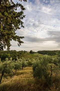 Tuscany Landscape Stock Photos