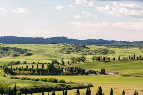 Tuscany landscape in spring Stock Photos