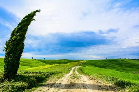 Tuscany landscape in spring Stock Photos
