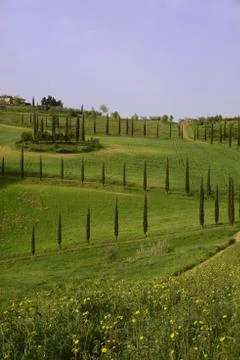 Tuscany Stock-Fotos