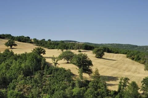 Tuscany 스톡 사진