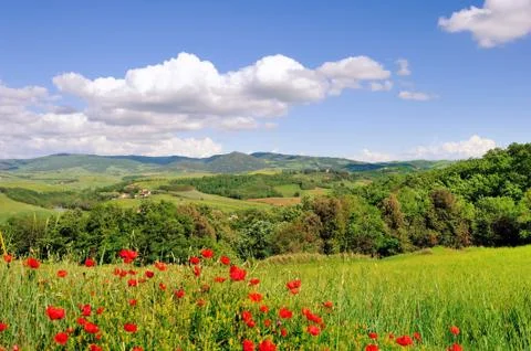 Tuscany Stock Photos