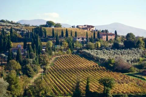 Tuscany Stock Photos