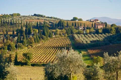 Tuscany Stock Photos