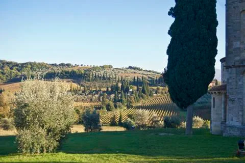 Tuscany Stock Photos