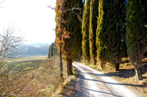 Tuscany Stock Photos