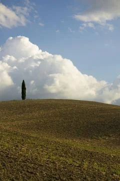 Tuscany Stockfoto's