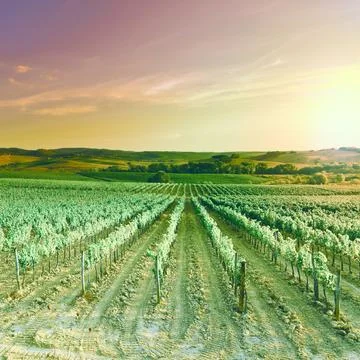 Tuscany Stock Photos
