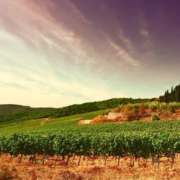 Tuscany Stock Photos