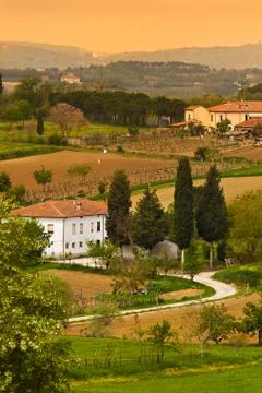 Tuscany scene Stock Photos