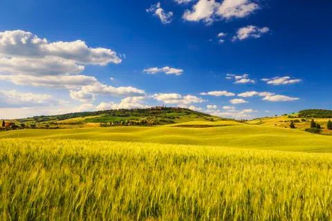 Tuscany spring, Pienza medieval village and wheat. Siena, Italy Stock Photos