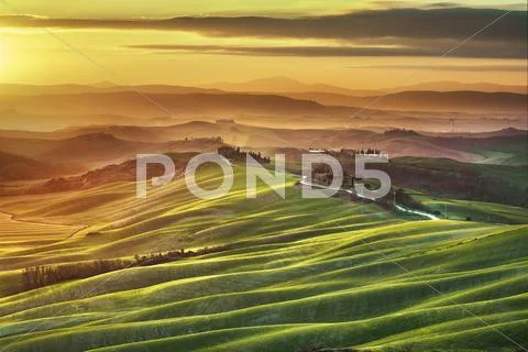 Tuscany spring, rolling hills on misty sunset. Rural landscape. Green fields Stock Photos