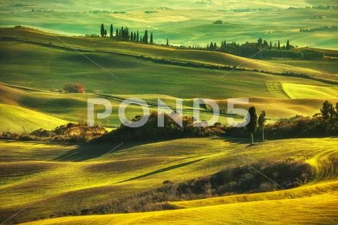 Tuscany spring, rolling hills on misty sunset. Rural landscape. Green fields Stock Photos