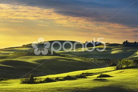 Tuscany spring, rolling hills on sunset. Rural landscape. Green fields and fa Stock Photos