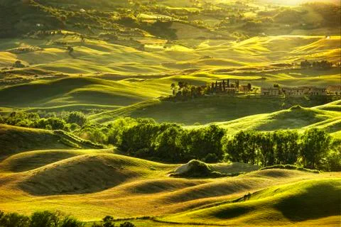 Tuscany spring, rolling hills on sunset. Rural landscape. Green fields and fa Stock Photos