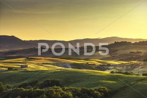 Tuscany spring, rolling hills on sunset. Rural landscape. Green fields and fa Stock Photos