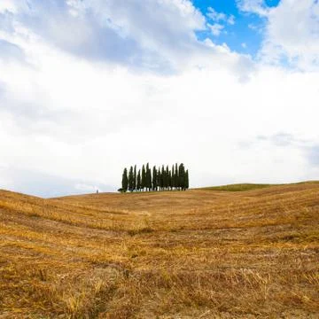 Tuscany before the storm Foto stock