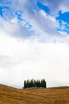 Tuscany before the storm Stock Photos