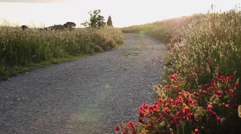 Tuscany sunset landscape Stock Footage 39676949