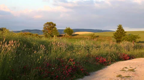 Tuscany sunset landscape Stock Footage 39677098