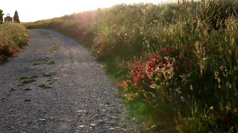 Tuscany sunset landscape Stock Footage 39677154