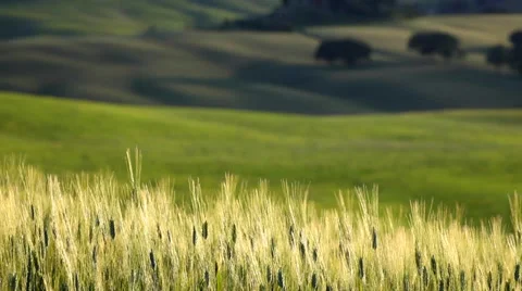 Tuscany sunset landscape Stock Footage 39677518