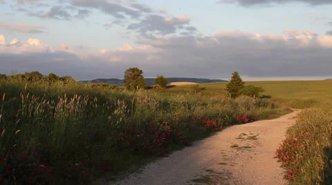 Tuscany sunset landscape Stock Footage 39677728
