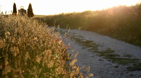 Tuscany sunset landscape Stock Footage 39677898
