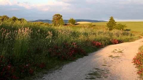 Tuscany sunset landscape Stock Footage 39677904