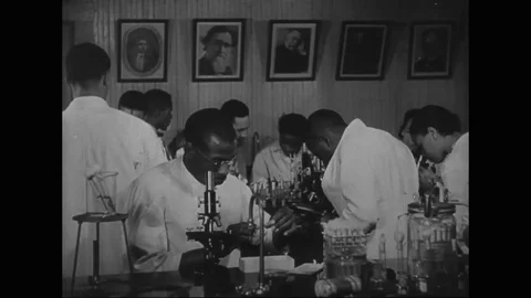 Tuskegee scientists testing samples of alcohol in laboratory - 1943 Stock Footage 106378991