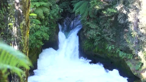 Tutea Falls. Kaituna River. New Zealand Vídeos de archivo 45346723