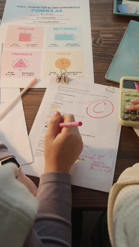 Tutor and Student Examining Test Stock Footage 329664783
