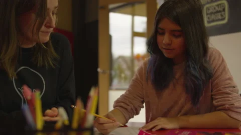 Tutor Helping Her Student Work Through Math Problems on a Worksheet Stock Footage 208746419